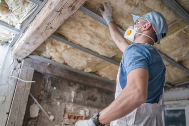 Best Specialized Insulation Services in Duquesne, PA