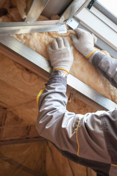 Best Geographic-Specific Insulation Services in Duquesne, PA