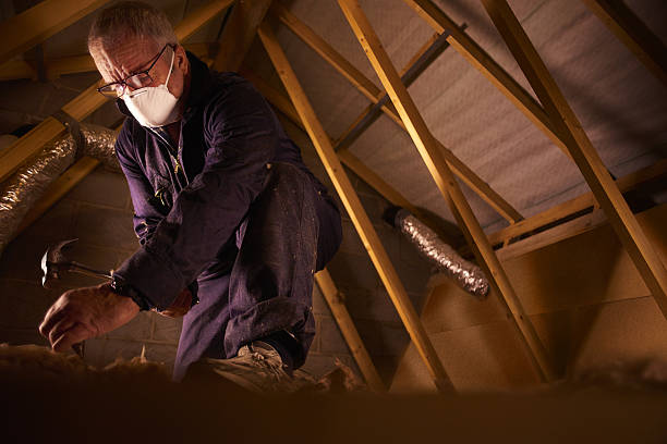 Best Eco-Friendly Insulation in Duquesne, PA